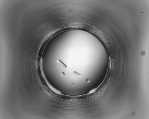 X0000099310252200805161420