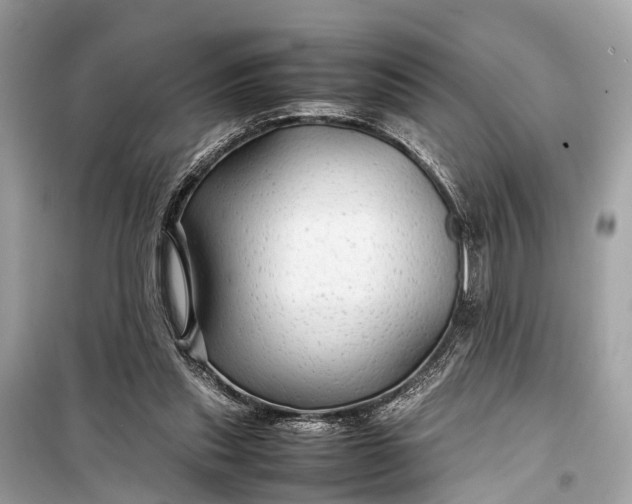 X0000099310253200805161420