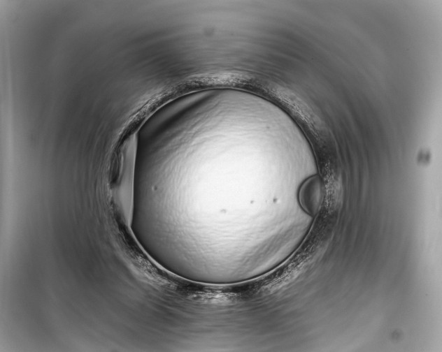 X0000099310254200805161420