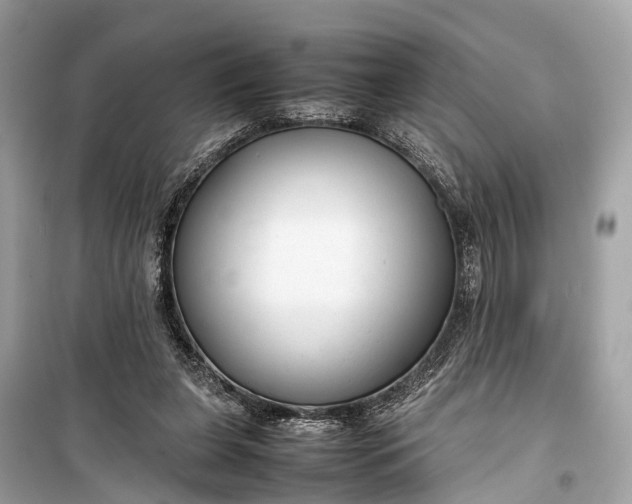 X0000099310255200805161420