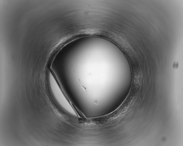 X0000099310256200805161420