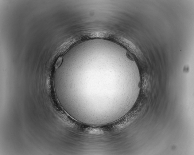 X0000099310258200805161420