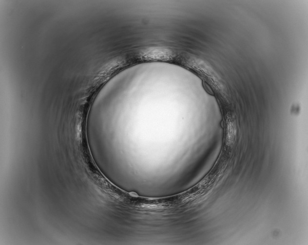 X0000099310259200805161420