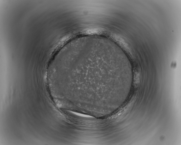 X0000099310260200805161420