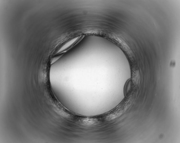 X0000099310261200805161420