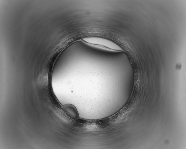 X0000099310262200805161420