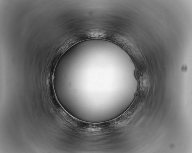 X0000099310263200805161420