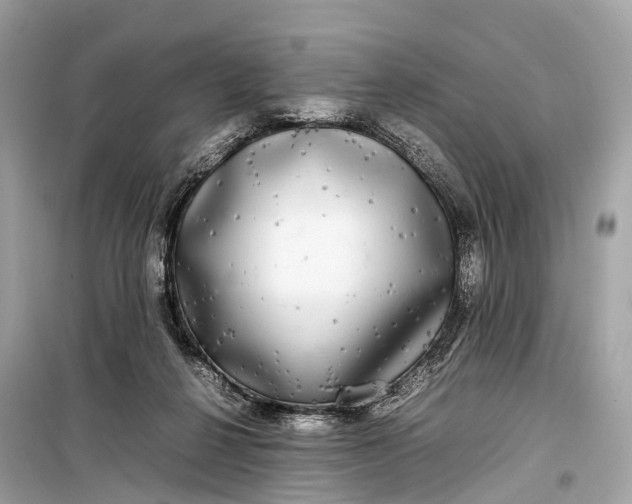 X0000099310264200805161420