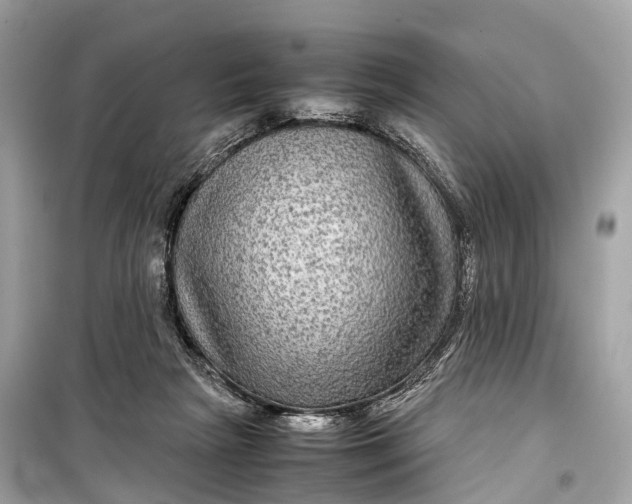 X0000099310265200805161420