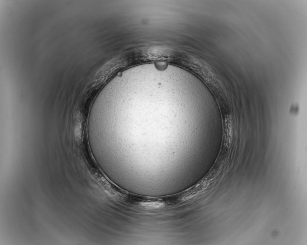 X0000099310266200805161420