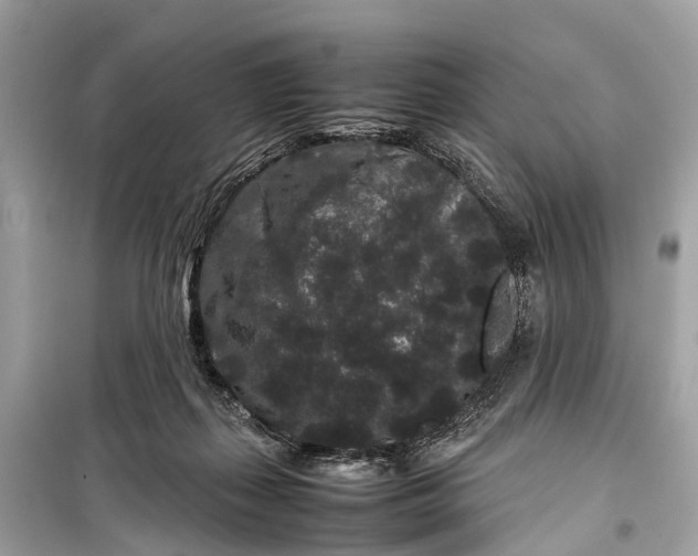 X0000099310267200805161420