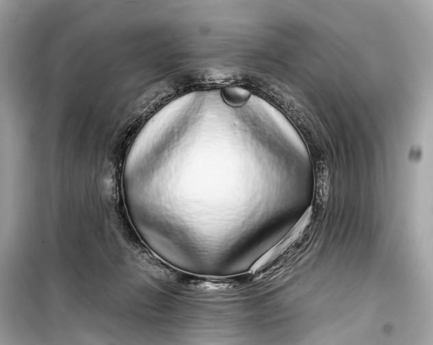 X0000099310270200805161420