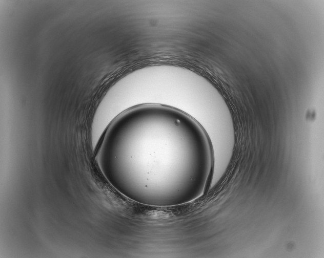 X0000099310272200805161420