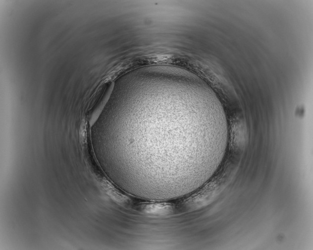 X0000099310274200805161420