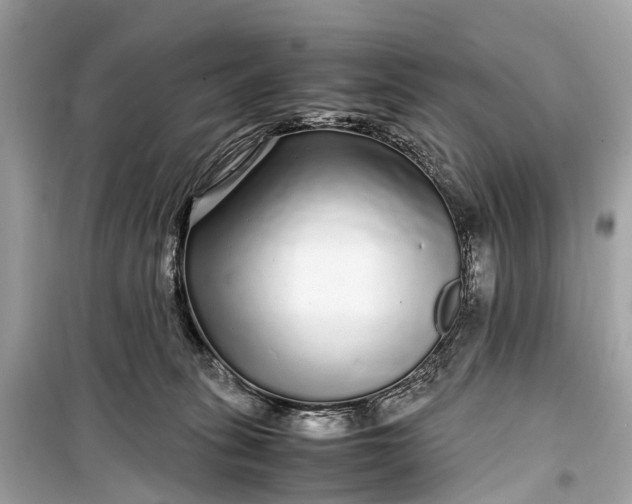 X0000099310275200805161420