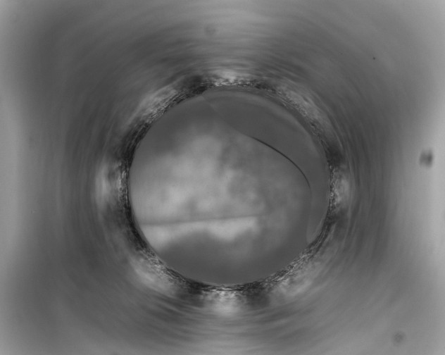 X0000099310276200805161420