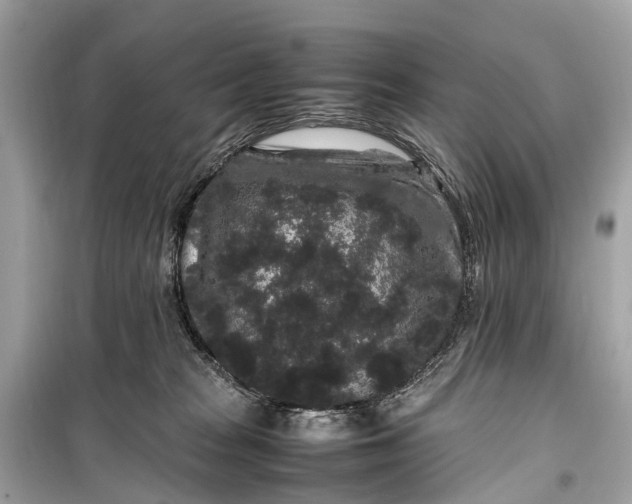 X0000099310277200805161420