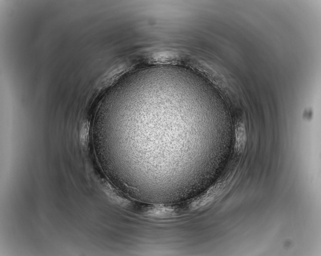 X0000099310278200805161420