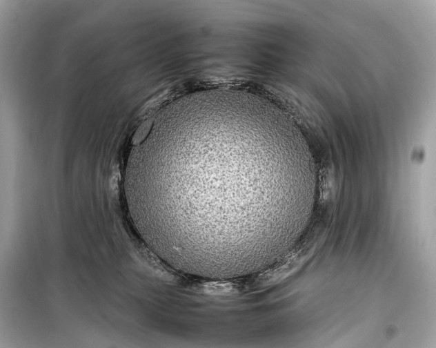 X0000099310279200805161420