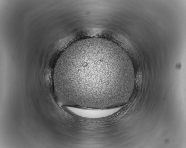 X0000099310280200805161420