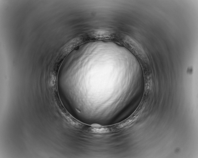 X0000099310281200805161420