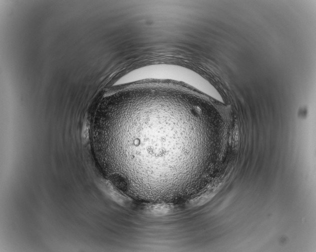 X0000099310282200805161420