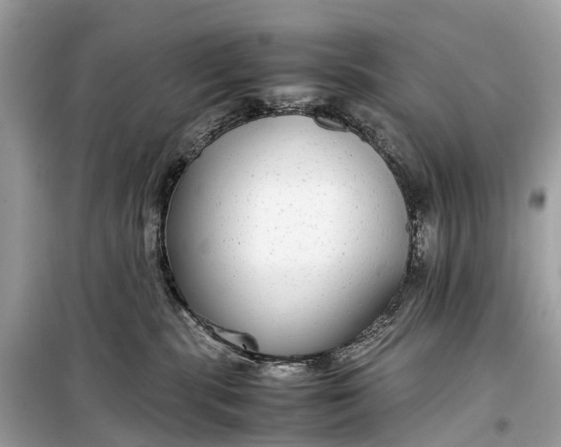 X0000099310283200805161420