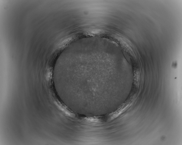 X0000099310284200805161420