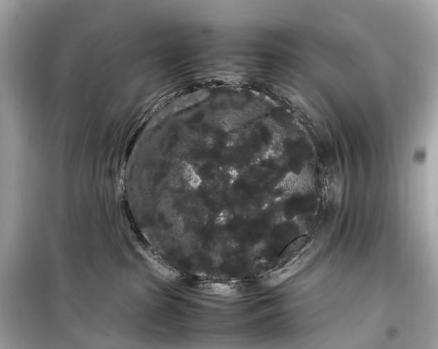 X0000099310285200805161420