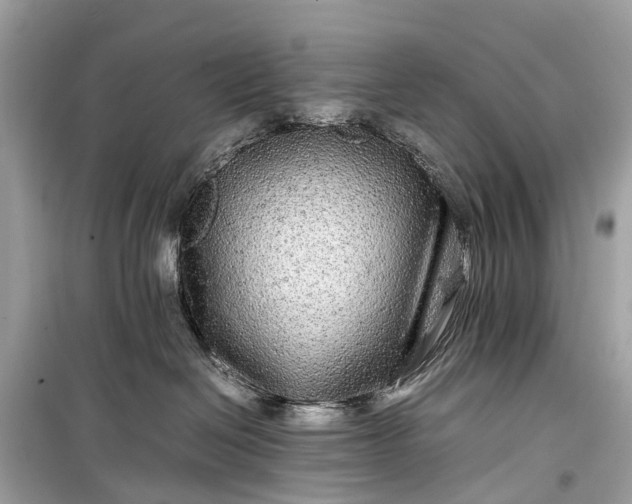 X0000099310286200805161420