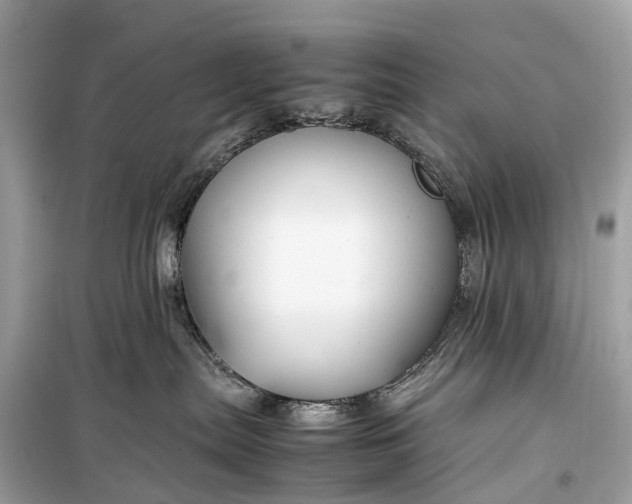 X0000099310287200805161420