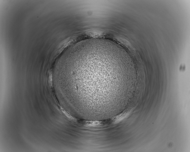 X0000099310288200805161420