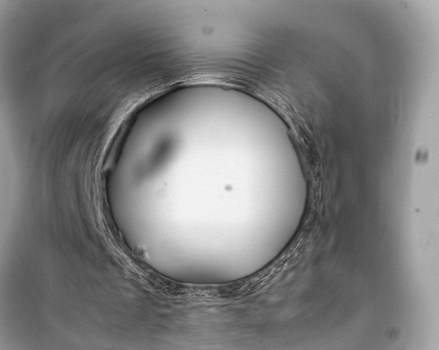 X0000099310289200805161419