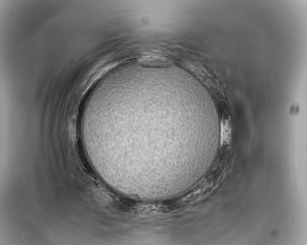 X0000099310291200805161419