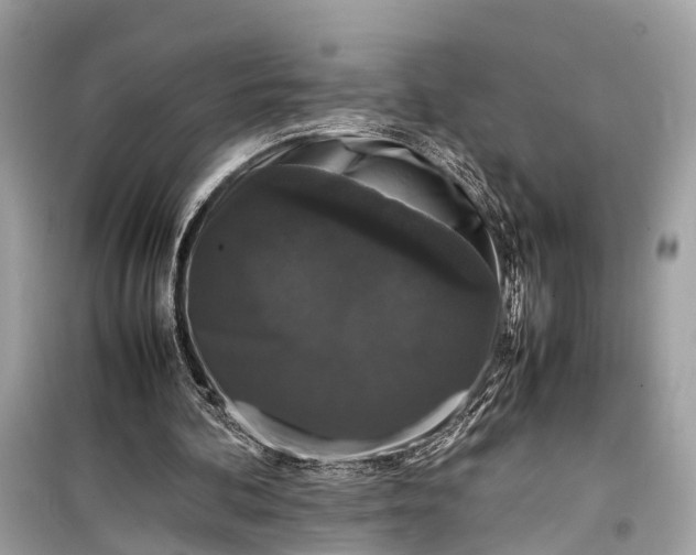 X0000099310292200805161419