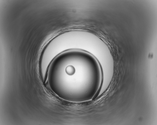 X0000099310293200805161419