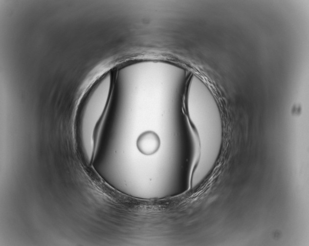 X0000099310296200805161419