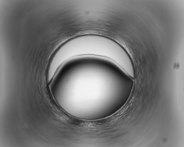 X0000099310297200805161419