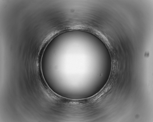 X0000099310298200805161419