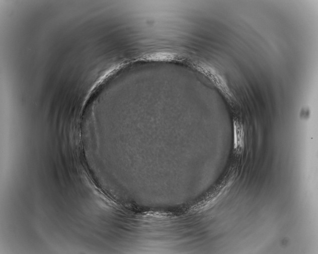 X0000099310300200805161419