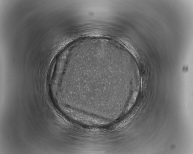 X0000099310301200805161419