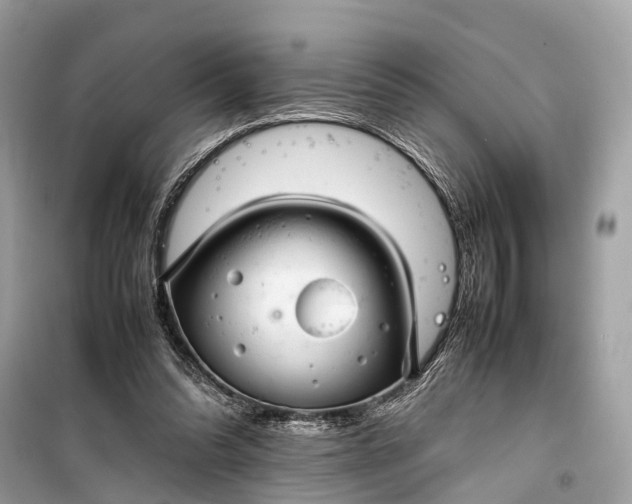 X0000099310302200805161419