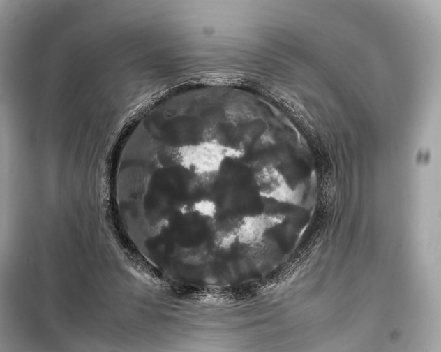 X0000099310303200805161419