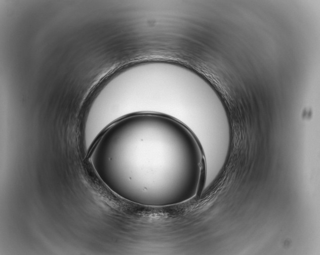 X0000099310304200805161419