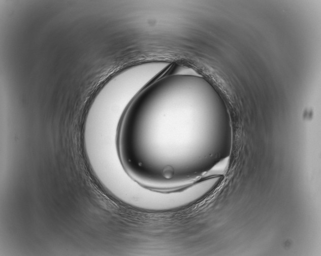 X0000099310305200805161419