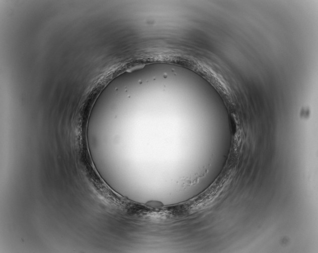 X0000099310306200805161419