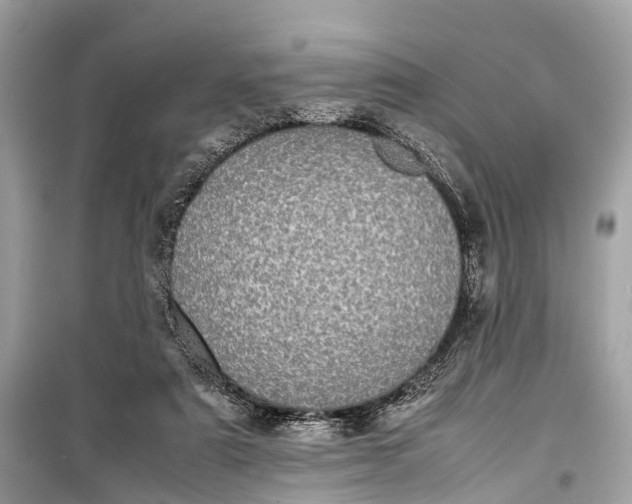 X0000099310307200805161419