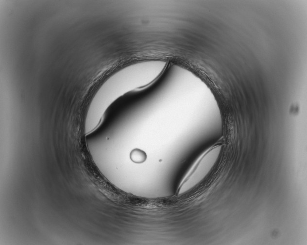 X0000099310308200805161419