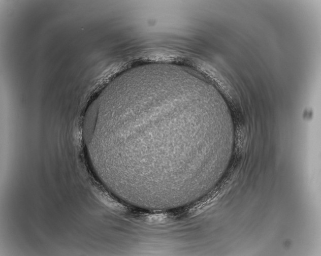 X0000099310309200805161419