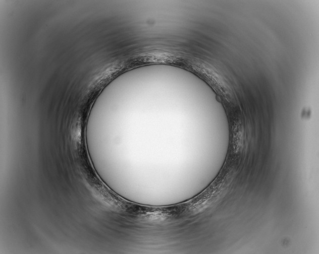 X0000099310310200805161419